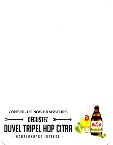 puurs va-b duvel duvel hop 6b (recht230-degustez duvel tripel)